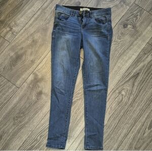 Democracy Size 2 Indigo Skinny